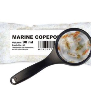 Seewassercopepoden (diverse Arten)
